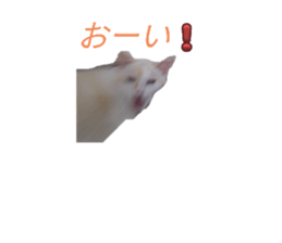 783968178