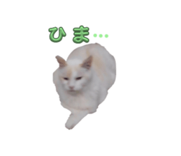 783968182