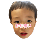 783970610