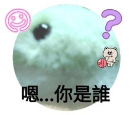 783976354