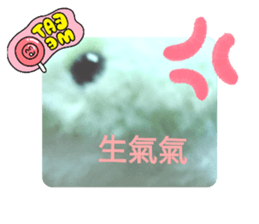 783976361
