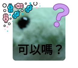783976365