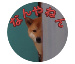 783979470