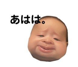 783980240