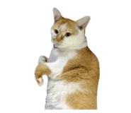 783983441