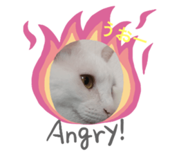 783997111