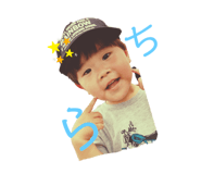 783998513