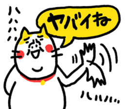 784000704