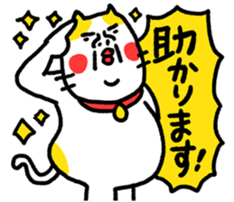 784000706