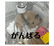 784013587