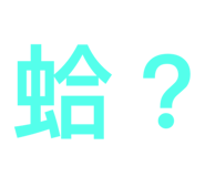 784025062