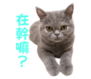 784029879