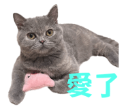 784029881