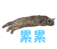 784029893