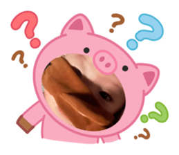784059980