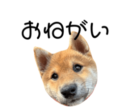784066800