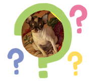 784106133