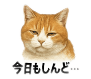784136345