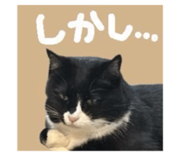 784150958
