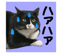 784150963