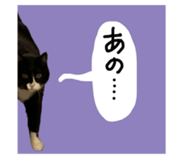 784150969