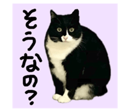 784150971