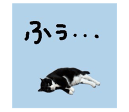 784150981