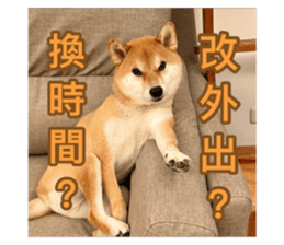 784173700