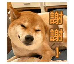 784173706