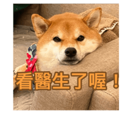 784173713