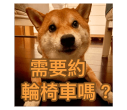784173714