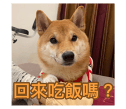 784173718