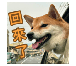 784173720