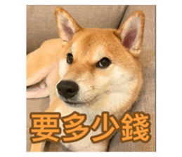 784173730