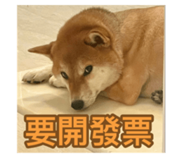 784173736