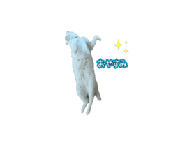 784181913