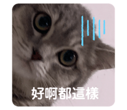 784186283