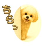 784197288