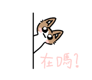 784200790