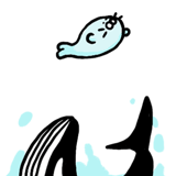 784205065