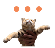 784220650