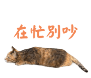 784220651