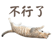 784220664