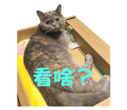 784223369