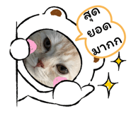 784225119