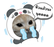 784225125