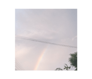 784229118
