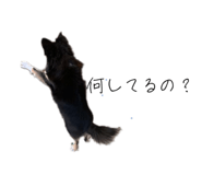 784236697