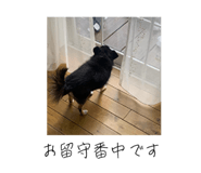 784236699