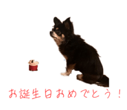 784236706